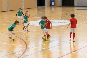 _MG_2634-Avec accentuation-Bruit.jpg